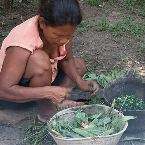 BURE 1_mosaico galeria.jpg